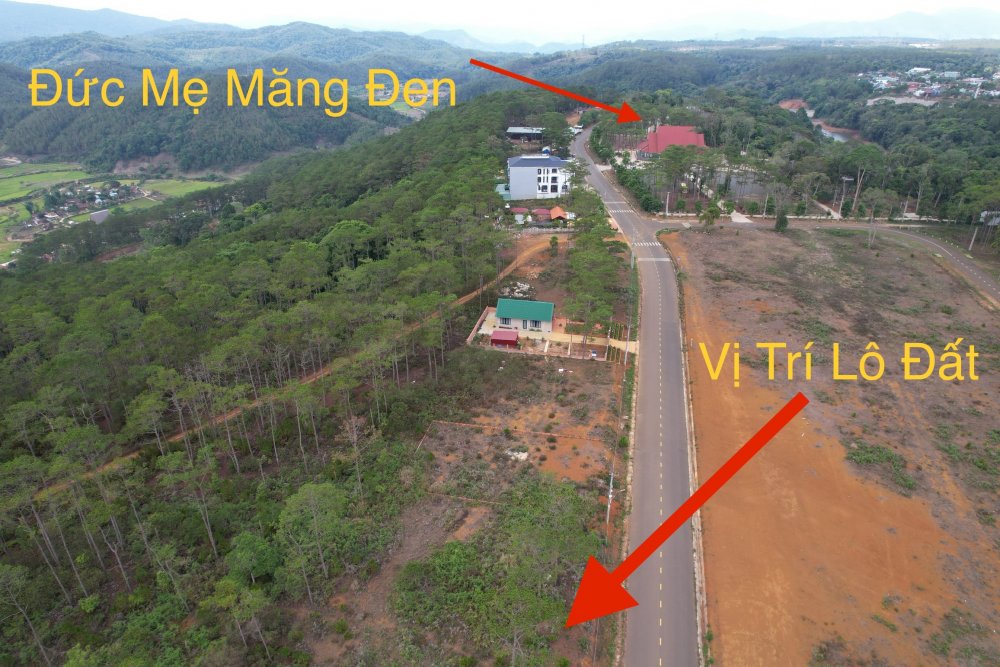 Bán Nhanh Lô Đất Mặt Tiền Trần Nhân Tông - View Săn Mây Bán Nhanh Lô Đất Mặt Tiền Trần Nhân Tông - View Săn Mây