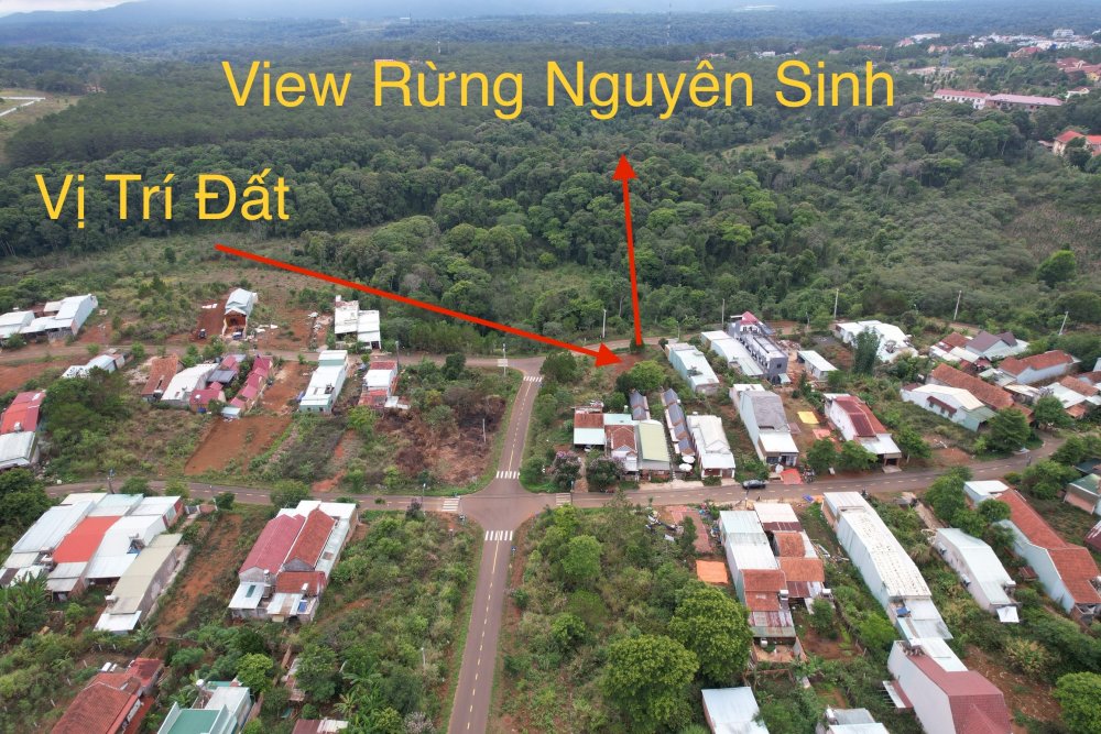 Bán Lô Đất Cặp Đường Phan Bội Châu - View Rừng Nguyên Sinh - Săn Mây