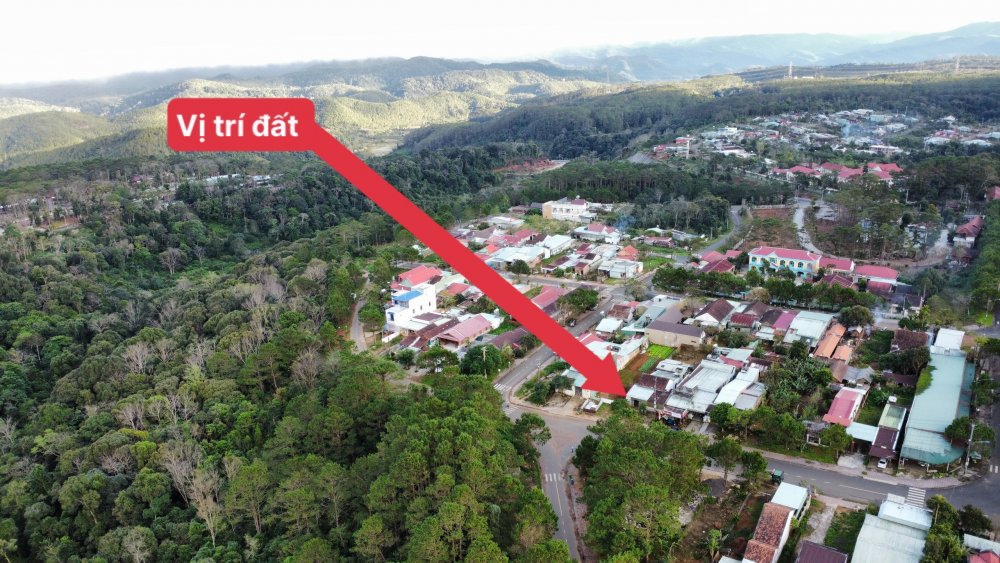 Cần Bán Lô Đất Đẹp Đường Lê Hồng Phong - View Rừng Thông - Vị Trí Ngã 3 Đường Cần Bán Lô Đất Đẹp Đường Lê Hồng Phong - View Rừng Thông - Vị Trí Ngã 3 Đường