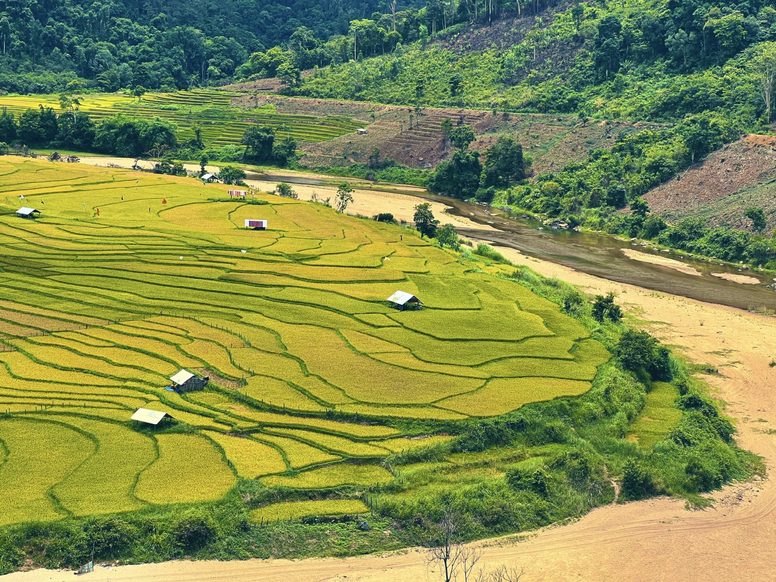 Ngắm Nhìn Vẻ Đẹp Ruộng Bậc Thang Kon Tu Rằng Mùa Lúa Chín - Thị Trấn Măng Đen